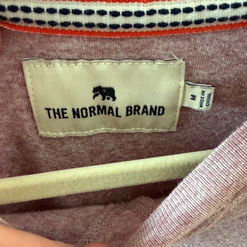 The Normal Brand Dusty Mauve Crewneck Sweater - Picture 2 of 5